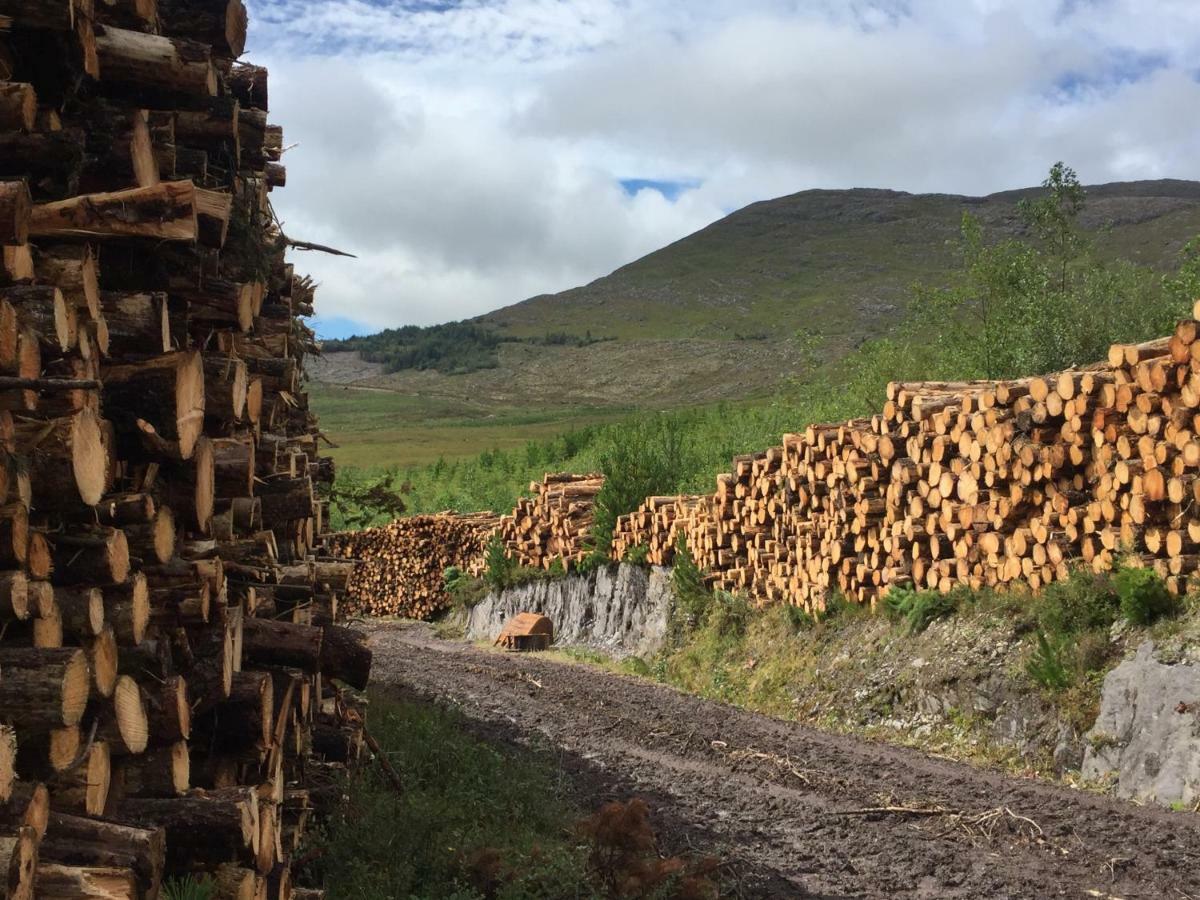 Alaind Lodges, Sneem Bagian luar foto